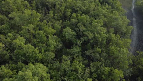 Vista-Aérea-De-Sundarban,-Que-Es-Uno-De-Los-Bosques-De-Reserva-De-Tigres-Más-Grandes-De-Asia.