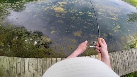 Pescando-Peces-Desde-Un-Muelle---Tiro-De-ángulo-Alto