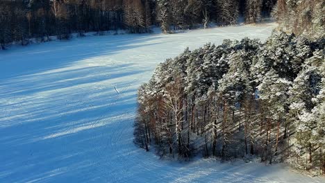 A-group-of-snow-covered-trees-standing-in-a-vast,-snow-covered-field