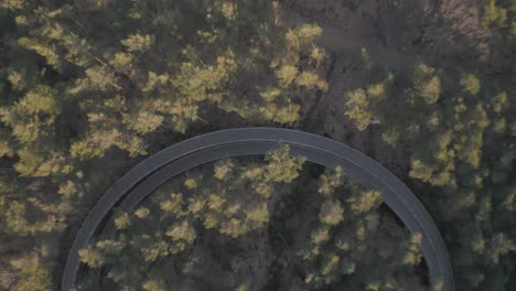 Beautiful-biking-roadway-in-forestry-area,-top-down-view