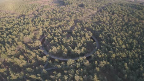 Natürlicher-Wald-Und-Ringförmiger-Gehweg,-Luftaufnahme