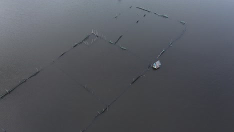 A-lone-boat-navigating-through-water-pathways-between-fish-farms-at-dawn-in-bohol,-philippines,-aerial-view