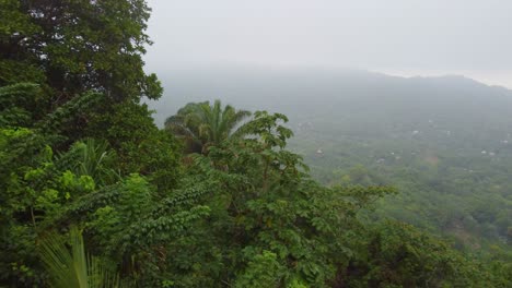Pasando-Sobre-Un-Dosel-De-Selva-Tropical-En-Dirección-A-Las-Montañas-Cubiertas-De-Niebla