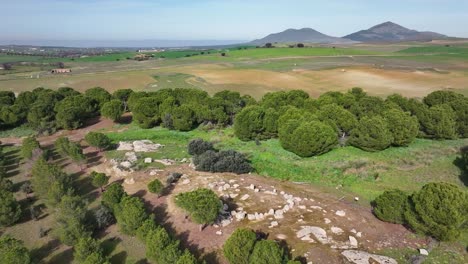 Vuelo-Sobre-Una-Zona-De-Pinos-Y-Visualizamos-Un-Cromlech-De-Piedras-En-Un-Entorno-De-Tierras-De-Cultivo-Con-Un-Fondo-De-Dos-Montañas-Con-Un-Cielo-Azul-En-Una-Mañana-De-Invierno-En-Toledo-España