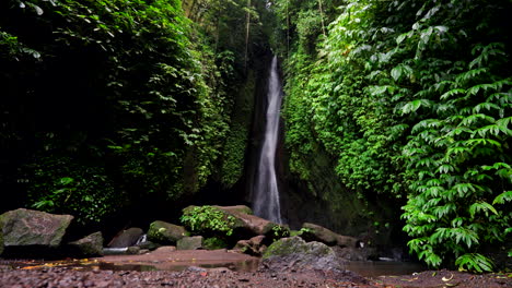 Rodeado-De-Alta-Vegetación-Y-Follaje-Vibrante,-La-Cascada-Leke-Leke