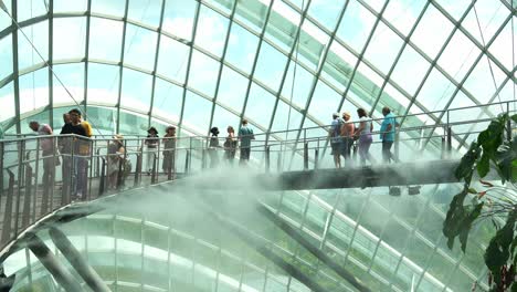 People-walking-on-cloud-forest-aerial-walkway,-greenhouse-conservatory-with-temperature-control-and-mist-spraying-to-keep-the-environment-moist,-Gardens-by-the-bay,-the-top-attraction-of-Singapore