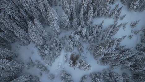 Berthoud-Berthod-Jones-Pass-aerial-drone-Winter-wonderland-Park-Colorado-snowy-blizzard-deep-powder-ski-snowboarder-backcountry-Rocky-Mountains-National-Forest-birdseye-view-to-the-right-motion