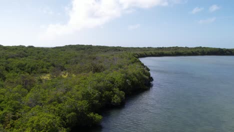 Überflug-über-Tropische-Mangrovenwälder,-Dolly-In-Los-Roques,-Venezuela