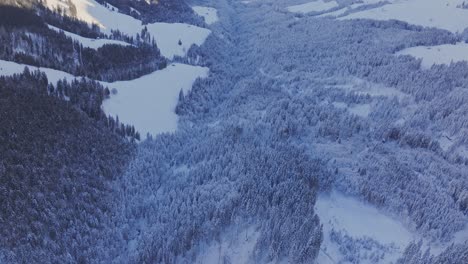 Luftaufnahme-Des-Verschneiten-Eiswaldes