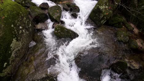 Rushing-water-over-mossy-rocks-in-Barrias,-Felgueiras-Portugal