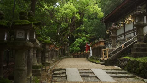 Malerischer-Leerer-Pfad-Gesäumt-Von-Moosbedeckten-Steinlaternen-Auf-Der-Linken-Seite-Und-Goldenen-Hängenden-Laternen-Auf-Der-Linken-Seite-Am-Kasuga-Taisha-Schrein-In-Nara,-Japan