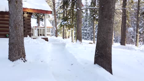 Drohnenansicht-Der-Schneebedeckten-Berge-Von-Banff,-Kanada-Im-Winter