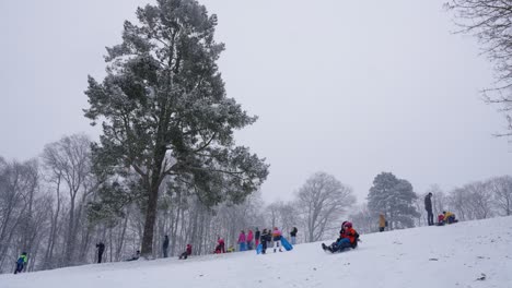 Gente-Disfrutando-De-Deslizarse-Por-La-Nieve-En-El-Parque-Woluwe-En-Bruselas,-Bélgica---Toma-Amplia-En-Cámara-Lenta