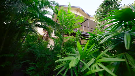 Pullback-Between-Tropical-Foliage-Leafs-Along-House-Frontage-Raised-Pathway-To-Entrance