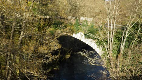 Old-Roman-bridge-in-the-municipality-of-Baños-de-Molgas,-Ourense,-Galicia,-Spain-with-leafless-trees-overgrown-vines