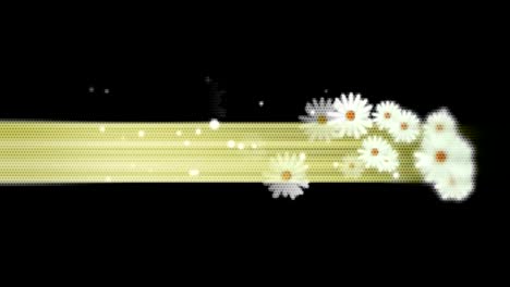 animated-moving-motion-background-showing-moving-flowers-rose-petals-white-chrysanthemum