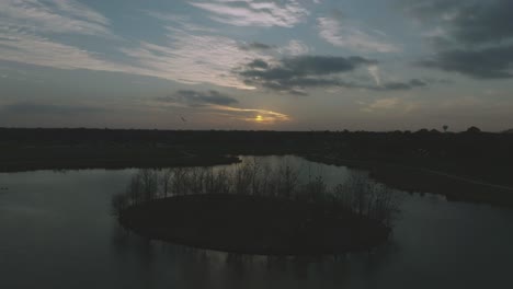 Eine-Luftaufnahme-Von-Kuhreihern,-Die-Bei-Sonnenuntergang-In-Clear-Lake,-Houston,-Texas,-Zum-Schlafplatz-Auf-Habitat-Island,-Exploration-Green,-Fliegen
