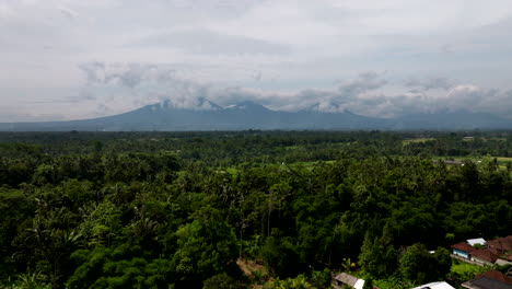 Von-Oben-Präsentiert-Sich-Die-Landschaft-Balis-Als-Faszinierendes-Bild