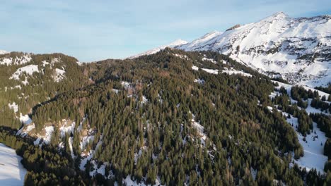 Amden-Weesen-Schweiz-üppigen-Grünen-Wald-Am-Fuße-Der-Schneebedeckten-Berge