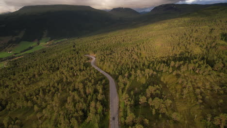 Aerial-Panoramic-View-of-Road-Through-Green-Forest-In-Norway-With-Landscape-Surroundings-and-Mountains-in-Horizon