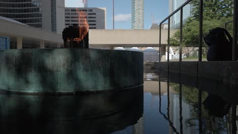 Medium-shot-of-the-eternal-flame-at-Toronto's-Peace-Garden