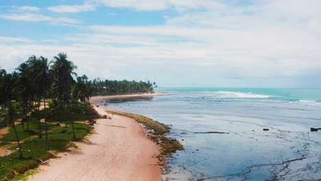 Aerial-view-of-Praia-do-Forte-beach,-beach-umbrella,-palm-tree-area-and-some-people-enjoying-the-sea,-Praia-do-Forte,-Bahia,-Brazil