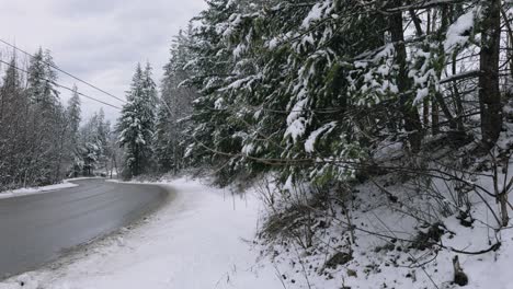 Día-De-Invierno-Nublado-En-Una-Carretera-Nevada-Con-Nieve-Cayendo-Suavemente-De-Los-árboles