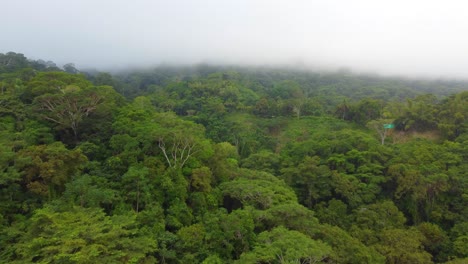 This-captivating-aerial-view-showcases-a-dense,-green-forest-enveloped-in-mist,-creating-an-enchanting-and-untouched-natural-landscape