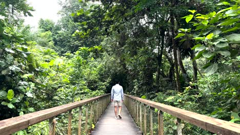 Back-View-Of-A-Man-Walking-On-The-Boardwalks-In-Windsor-Nature-Park,-Singapore