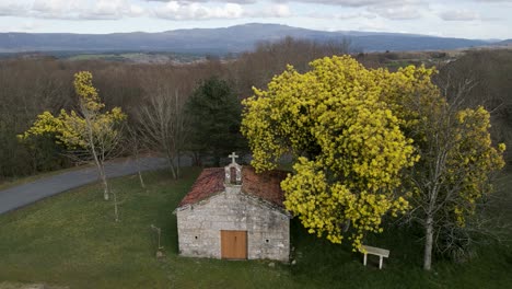 Statische-Hochwinkelansicht-Der-Kapelle-Von-San-Vitoiro-Und-Des-Im-Wind-Schwankenden-Gelben-Baumes