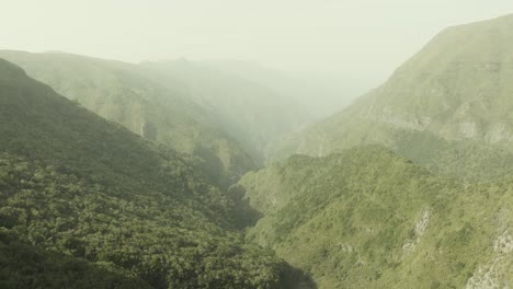 Vista-De-Pájaros-De-Una-Montaña-Y-Un-Bosque