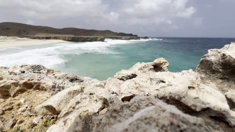 Aruba,-Korallen-Im-Vordergrund-Mit-Karibischem-Meer-Im-Hintergrund