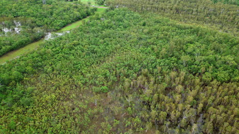 Drone-Aéreo-De-Un-Bloque-Vacante-De-Bosque-Rural-Parcialmente-Inundado-En-El-Punto-Bajo-De-La-Propiedad