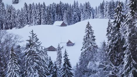 Winter-Majesty-of-the-Mountains