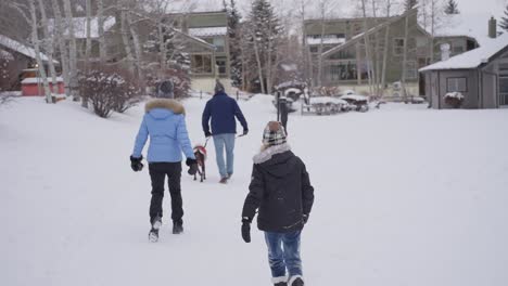 Vista-Posterior-De-Una-Familia-Con-Un-Perro-Caminando-Sobre-La-Nieve-En-Un-Frío-Día-De-Invierno,-Cámara-Lenta