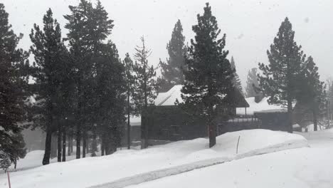 Fuerte-Tormenta-De-Nieve-Que-Envuelve-Una-Casa-De-Montaña-Entre-Pinos