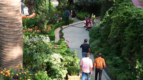 People-visiting-the-landmark-attraction,-world-largest-glass-greenhouse-Flower-Dome-at-Gardens-by-the-bay-with-variety-of-flowers-and-plants-displaying-in-the-conservatory,-static-shot