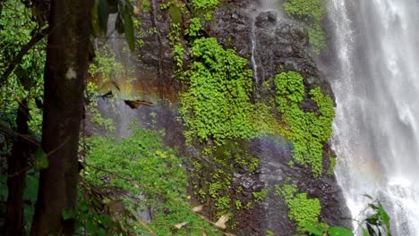 Una-Vista-Impresionante-De-Una-Cascada-Exuberante-Y-Verde-Rodeada-De-Follaje-Verde-Y-Rocas-Cubiertas-De-Musgo,-Que-Cae-En-Cascada-Hacia-Una-Piscina-Serena