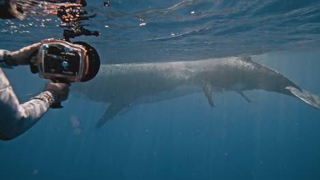 Snorkeling-Con-Ballenas