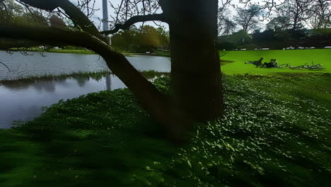 Park-green-space-lake-relaxation-time-lapse-European-city-Hamburg-Germany