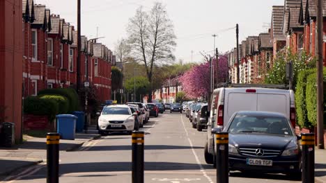 Quiet-residential-street-in-Manchester-with-parked-cars-and-blooming-trees,-daytime,-sunny