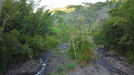 Arroyo-De-Flujo-Lento-Con-Evidencia-De-Lluvias-De-La-Temporada-De-Inundaciones-Con-árboles-Enraizados