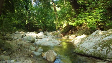 A-serene-forest-stream-flows-over-rocks,-surrounded-by-lush-greenery-under-dappled-sunlight