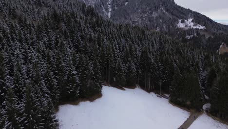 Small-Hut-in-the-Mountains-in-Austria-in-winter-with-snow-covered-pine-forest