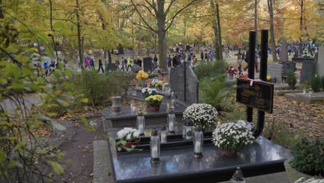 A-view-of-Srebrzysko-Cemetery-in-Gdańsk,-Poland