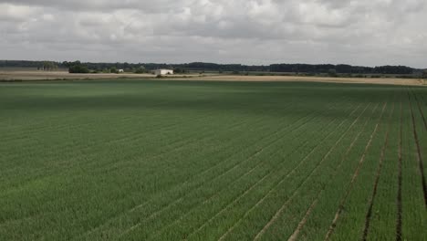 Video-Aéreo-De-Verano-De-Campo-Verde