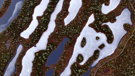 Aerial-view-of-a-frozen-swamp-in-winter