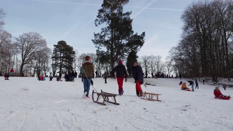 People-Enjoying-On-Snow-At-Woluwe-Park-In-Brussels,-Belgium-During-Winter