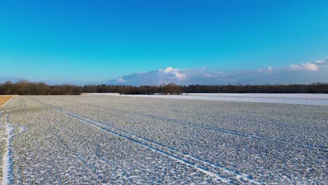 Frischer-Wintermorgen-über-Schneebedeckten-Getreidefeldern-Und-Klarem-Blauen-Himmel