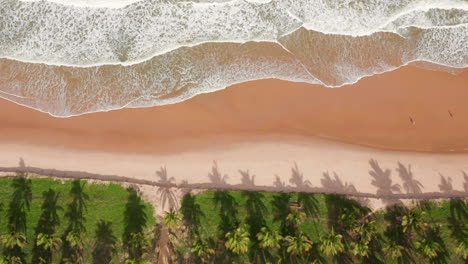 Aerial-view-of-the-waves,-beach-and-the-palm-trees-area-Imbassai,-Bahia,-Brazil